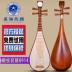 Nhạc cụ quốc gia Xinghai 8914 nhạc cụ gỗ hồng mộc chuyên nghiệp các loại đàn cổ cầm Nhạc cụ dân tộc
