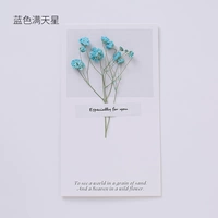 10 поздравительных открыток Blue Starry