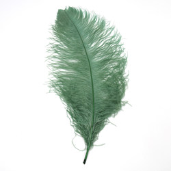 Ostrich feather ສີຂາວ wedding ostrich feather ຄູ່ມືຖະຫນົນຮູບພາບ props ornaments ອິນເຕີເນັດສະເຫຼີມສະຫຼອງສີບົວໃນການຕົກແຕ່ງ feather ຂະຫນາດໃຫຍ່