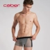Caber / Calbury cặp đôi đồ lót thời trang gợi cảm nóng bỏng quần short nam boxer phụ nữ quần lót mùa hè thoáng khí quần lót dệt kim Cặp đôi