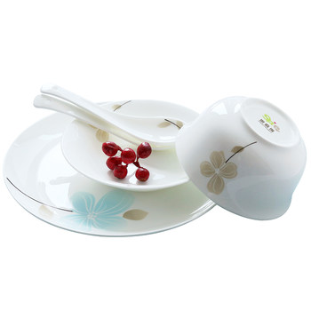 Sibaide bone porcelain tableware and dish set