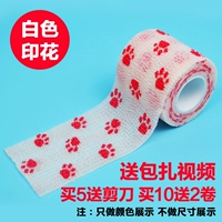 Белый принцип