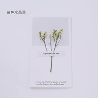 10 поздравительных открыток желтой кристаллической травы