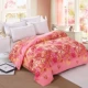 Chăn che Hua Jintian đơn 150 200 220 ký túc xá sinh viên đại học 1,5m / 1,8 / 2 mét chăn đôi - Quilt Covers