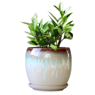 Large flower pot ceramic succulent pot with tray