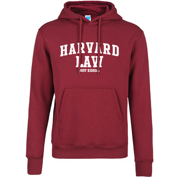 ໂຮງຮຽນກົດໝາຍ Harvard ພຽງແຕ່ kidding sweatshirt hooded sweatshirt Harvard Law just kidding commemoration