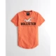 HollisterLogo mẫu áo thun ngắn tay nam 206899