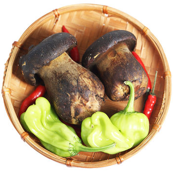 All first-grade black porcini mushrooms are freshly harvested and only high-quality products are sold.