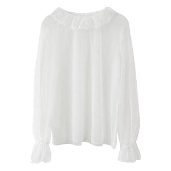 2026 spring and autumn new style hollow lace shirt western style shirt women's long sleeve super fairy bell sleeve mesh top bottoming shirt