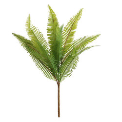 Simulated Ferns, Fake Plants, Soft Rubber Fern Leaves, Bunches of Fake Flowers and Green Plants, Landscaping Decoration, Hotel Window Display, Landscape Arrangement