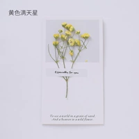 10 желтых звездных поздравительных открыток