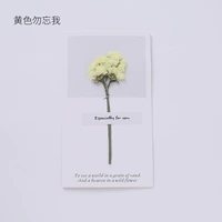 Десять желтых, не забудь меня приветствовать открытки