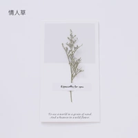 10 карт карты Lover Grass