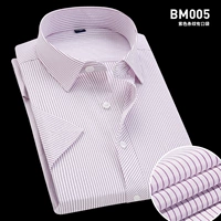 (Короткие -Слива) Фиолетовые полосы BM005