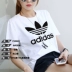 Áo thun nữ tay ngắn Adidas 2019 mới hè hè thể thao nửa tay giản dị áo thun nữ - Áo phông thể thao Áo phông thể thao