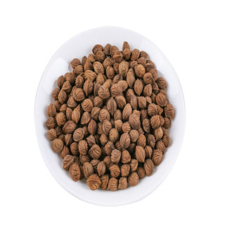 2025 wild peach stone hand string material peach and hu nearly round material brain pattern punched and non-punched peach stone slap bag