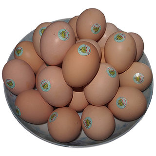 Taihe black eggs farm-grown eggs