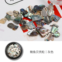 Shell Grey (CHS -1646)