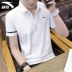 Anta ngắn tay áo thun nam cổ áo POLO 2019 hè mới thấm mồ hôi thấm hút quần áo thể thao - Áo phông thể thao áo ba lỗ tanktop nam Áo phông thể thao
