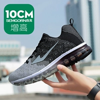 Черное и серое увеличение на 10 см