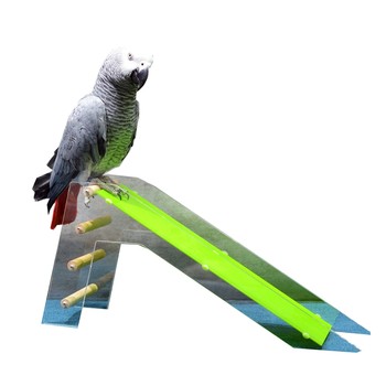Parrot toy parrot slide educational training props