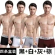 Coekac Đồ lót nam cho nam Boxer Quần nam Quần đầu cho bé trai Quần góc Tide Thanh niên Quần lót nam quan lot nu danh cho tuoi 16