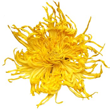 The 2nd item: 5 yuan chrysanthemum tea golden thread royal chrysanthemum stay up late to get rid of the heat