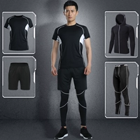 6558 черно -белый набор четырех