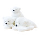 Shengya Polar Dalian Laohutan Bear Plush Toy