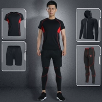 6558 черно -красный набор четырех