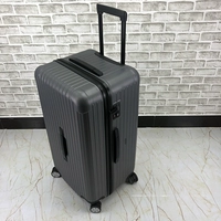 Серебряный разрез [модель на молнии]