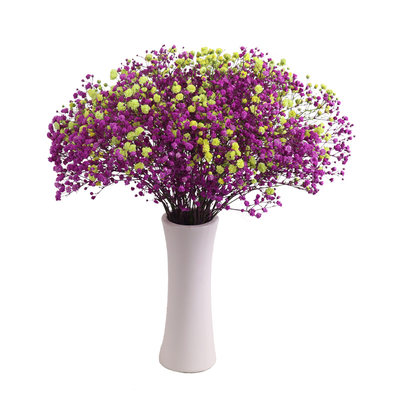 Gypsophila dry flower bouquet home furnishings small fresh flowers really inserted in the living room decoration ornaments net red ins with vase