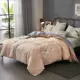 Violet mảnh duy nhất của bông chăn sinh viên 150x200x230 đơn hoặc kép giường chăn m 1,5 m 100% cotton - Quilt Covers