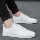 Mùa hè 2019 mới nhỏ giày trắng phiên bản Hàn Quốc của xu hướng giày nam rung giày hoang dã giày vải trắng - Plimsolls