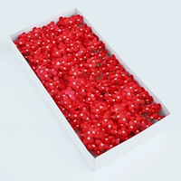 Маленькая гортеня [Дахонг] 40 цветов