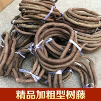 Бутик жирный тип