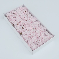 Маленькая гортензия [легкий порошок] 40 цветов