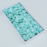 Маленькая гортензия [светло -голубой] 40 цветов