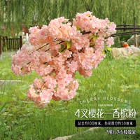 4 порошок шампанского вилки.