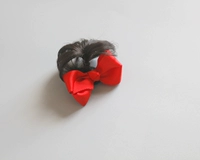 Чай улун Да Хун Пао с бантиком