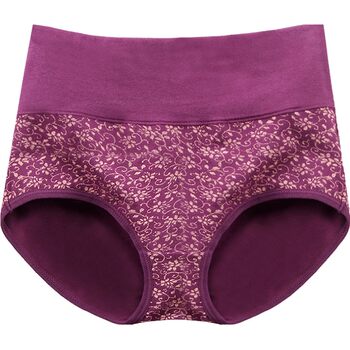 4 ຊິ້ນຂອງ langsha underwear ສໍາລັບແມ່ຍິງ, fabric ຝ້າຍ, sexy ແອວສູງ, ການຄວບຄຸມ tummy, butt ຍົກ, ຫຍໍ້ຂອງແມ່ຍິງ, ສັ້ນຂະຫນາດຂະຫນາດໃຫຍ່