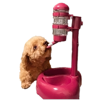 Pets not wet Mouth Doggy water dispenser Automatic hanging ratio Bear Drinking water Cat Kitty Water Dispenser Vertical Kettle supplies