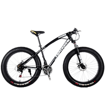 Mountain bike cross-country snow and beach 4 0 ultra-wide tire one-wheel male and female student adult transmission vehicle