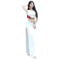 2024 Belly Dance Costume Sexy Oriental Dance Show Costume Embroidered Rose Modale Dance Costume Woman