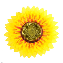 Sunflower dance props hand flower kindergarten performance sunflower games entrance dance performance hand flower