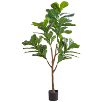 Nordic style simulated green plants ins roasted seeds and nuts home decoration floor-standing traveler banana large indoor fake flower potted plant