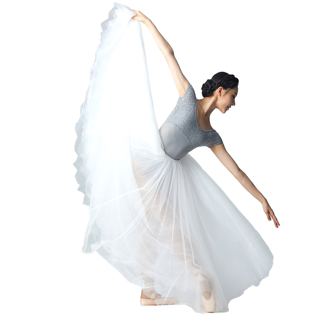 Sansha Sansha ballet dance mesh long skirt skirt