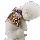 Small dog leash harness