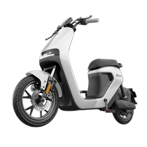 Ninebot 9 Electric New C40Lite New National Label 9 electric bike (store self-lift)