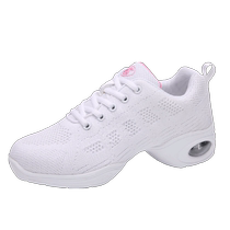 Niu Ba Dao Dance Shoes Four Seasons New Medium Heel Mesh Dance Shoes Soft Sole Modern Dancer Shoes Square Dance Shoes 8727